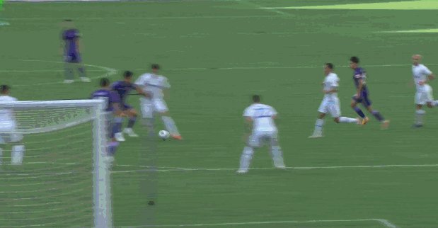 赵英杰.gif